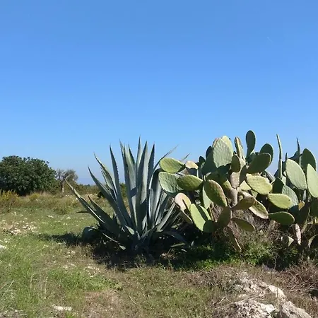 Angeli Nel Salento Casa vacanze Otranto