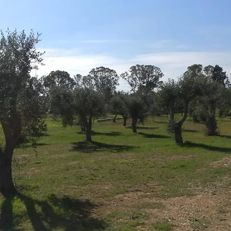 Angeli Nel Salento Casa vacanze